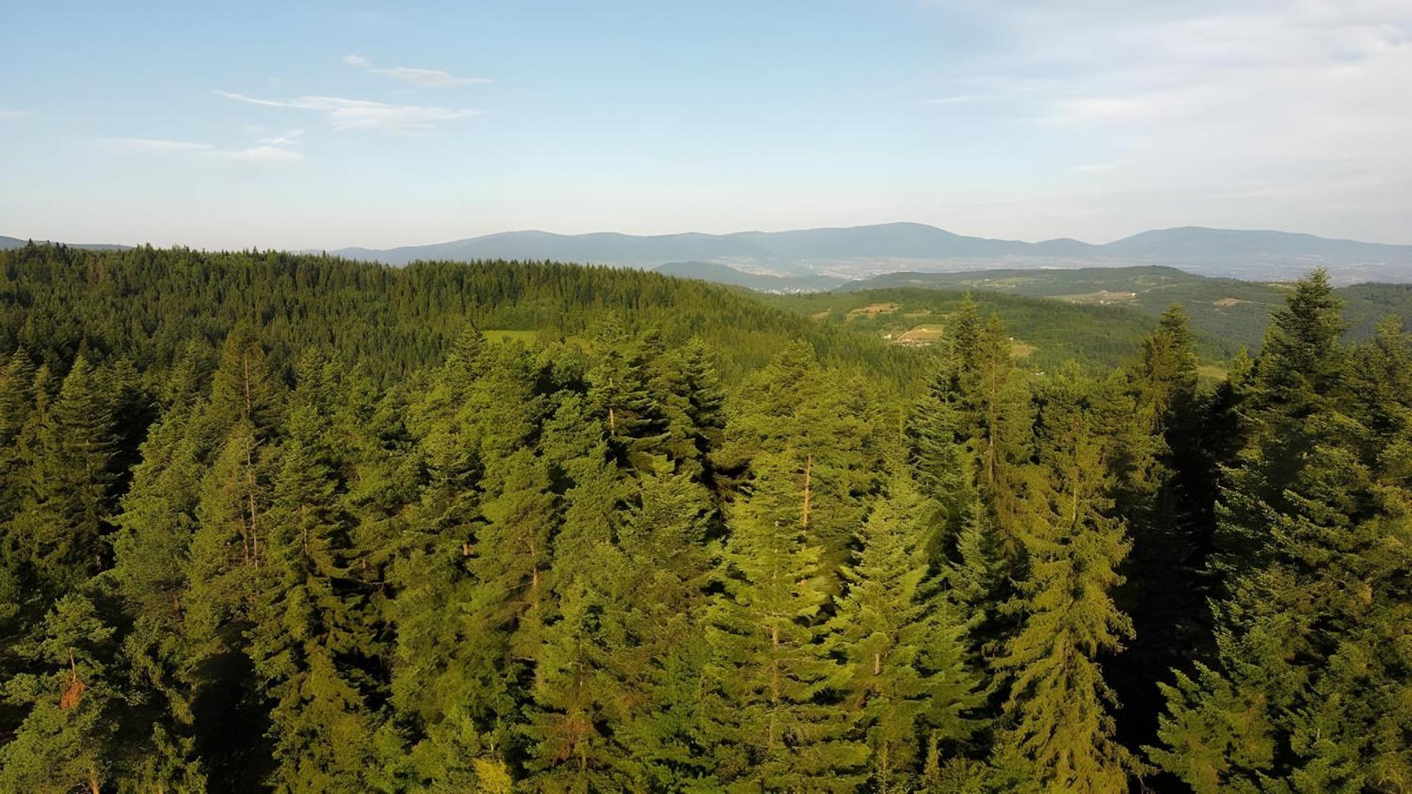 Villa Przystanek Madejowa Jeleśnia Esterno foto