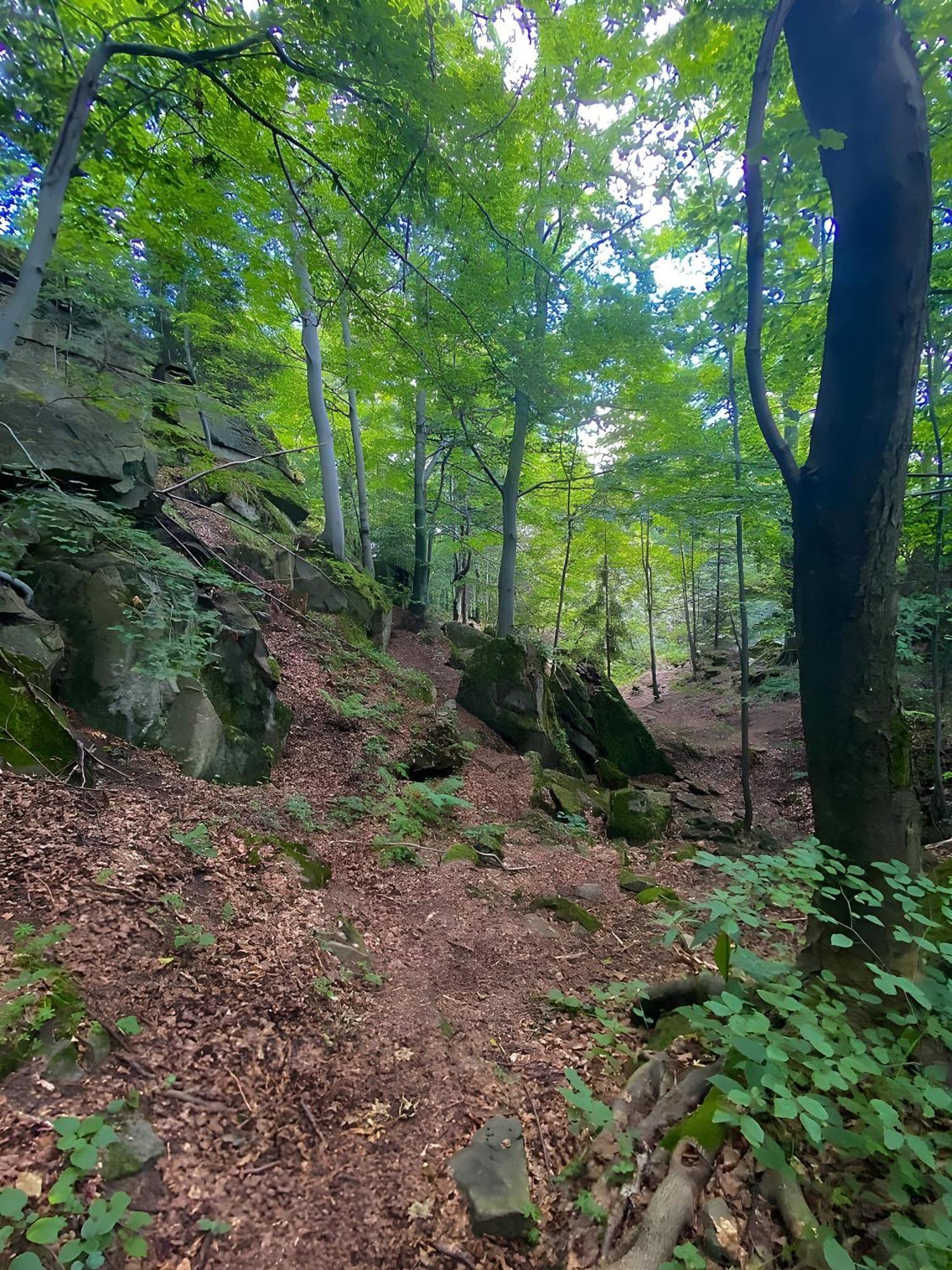 Villa Przystanek Madejowa Jeleśnia Esterno foto