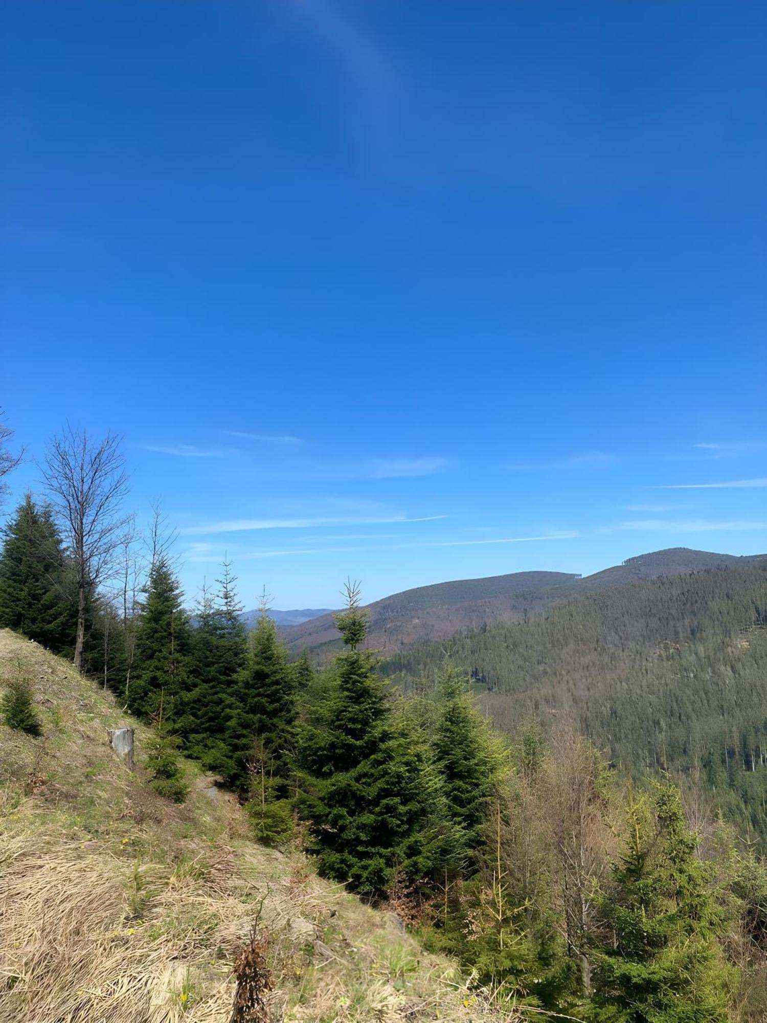 Villa Przystanek Madejowa Jeleśnia Esterno foto