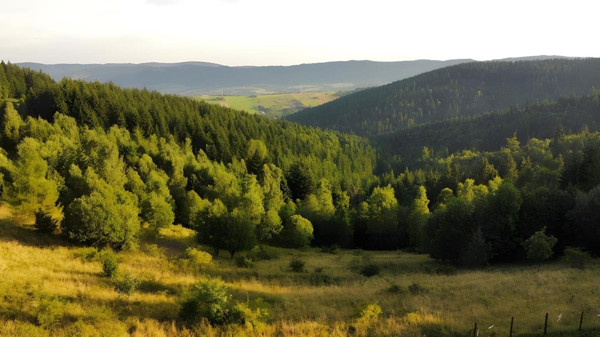 Villa Przystanek Madejowa Jeleśnia Esterno foto